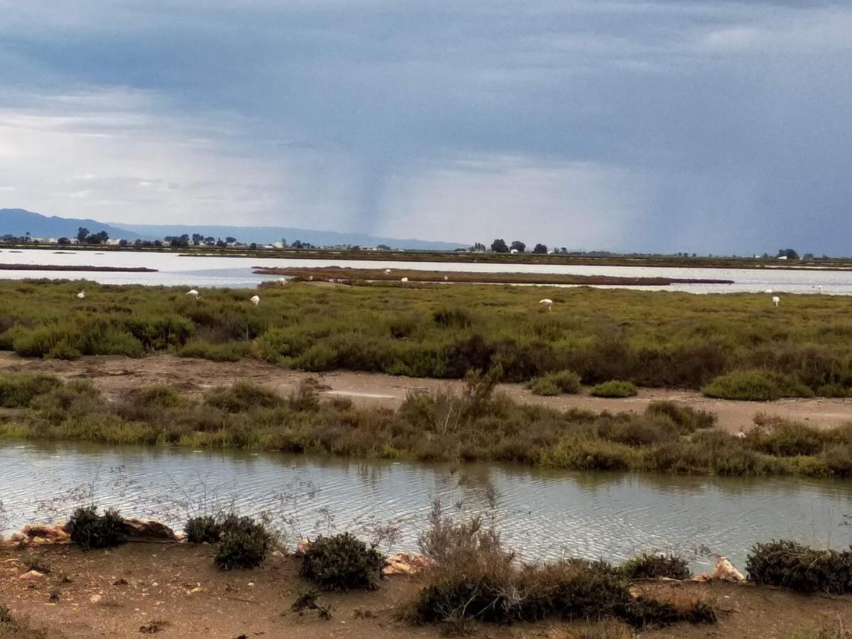 Apartamento Gelum Delta Del Ebro Sant Jaume d'Enveja Exteriör bild