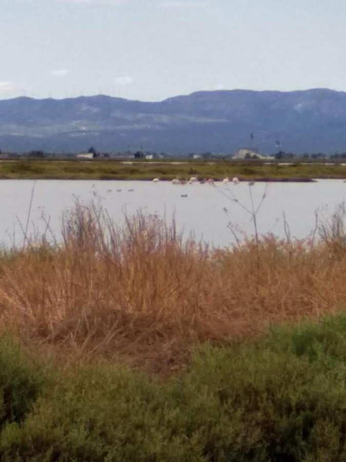 Apartamento Gelum Delta Del Ebro Sant Jaume d'Enveja Exteriör bild