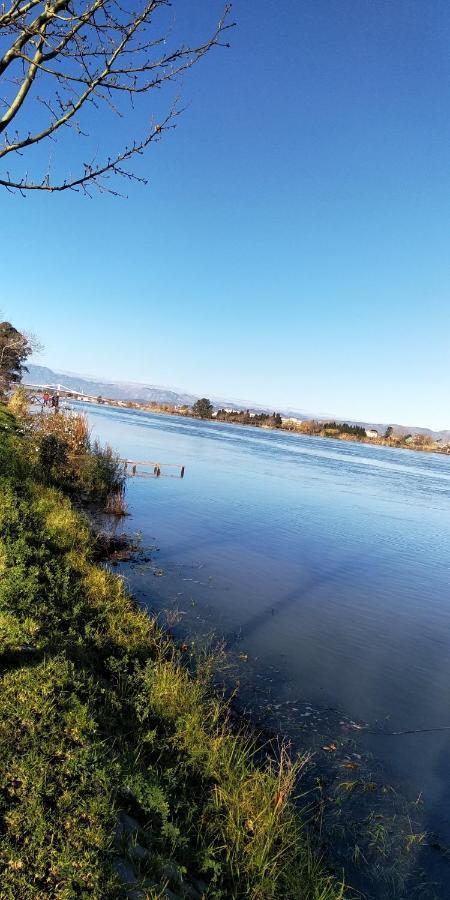 Apartamento Gelum Delta Del Ebro Sant Jaume d'Enveja Exteriör bild