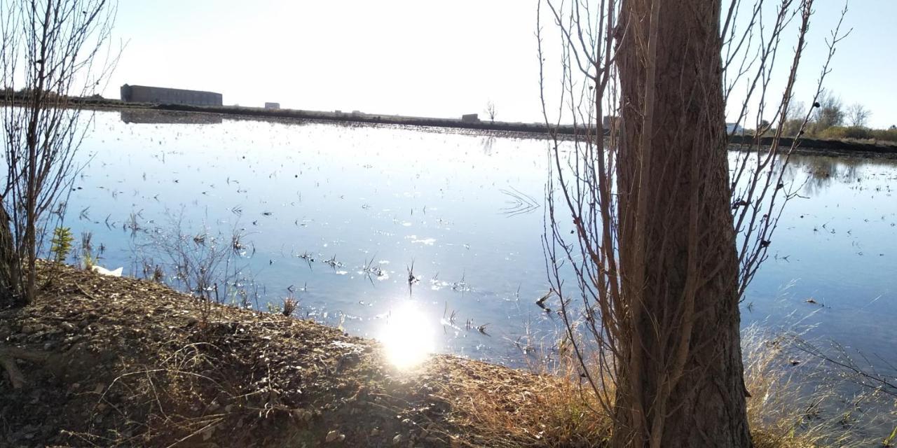 Apartamento Gelum Delta Del Ebro Sant Jaume d'Enveja Exteriör bild